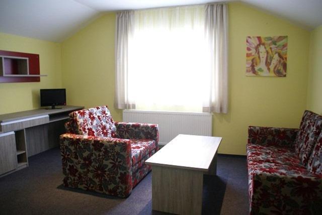 F - Team Hotel Liptovský Hrádok 객실 사진