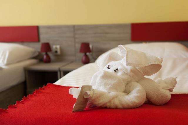 F - Team Hotel Liptovský Hrádok 객실 사진